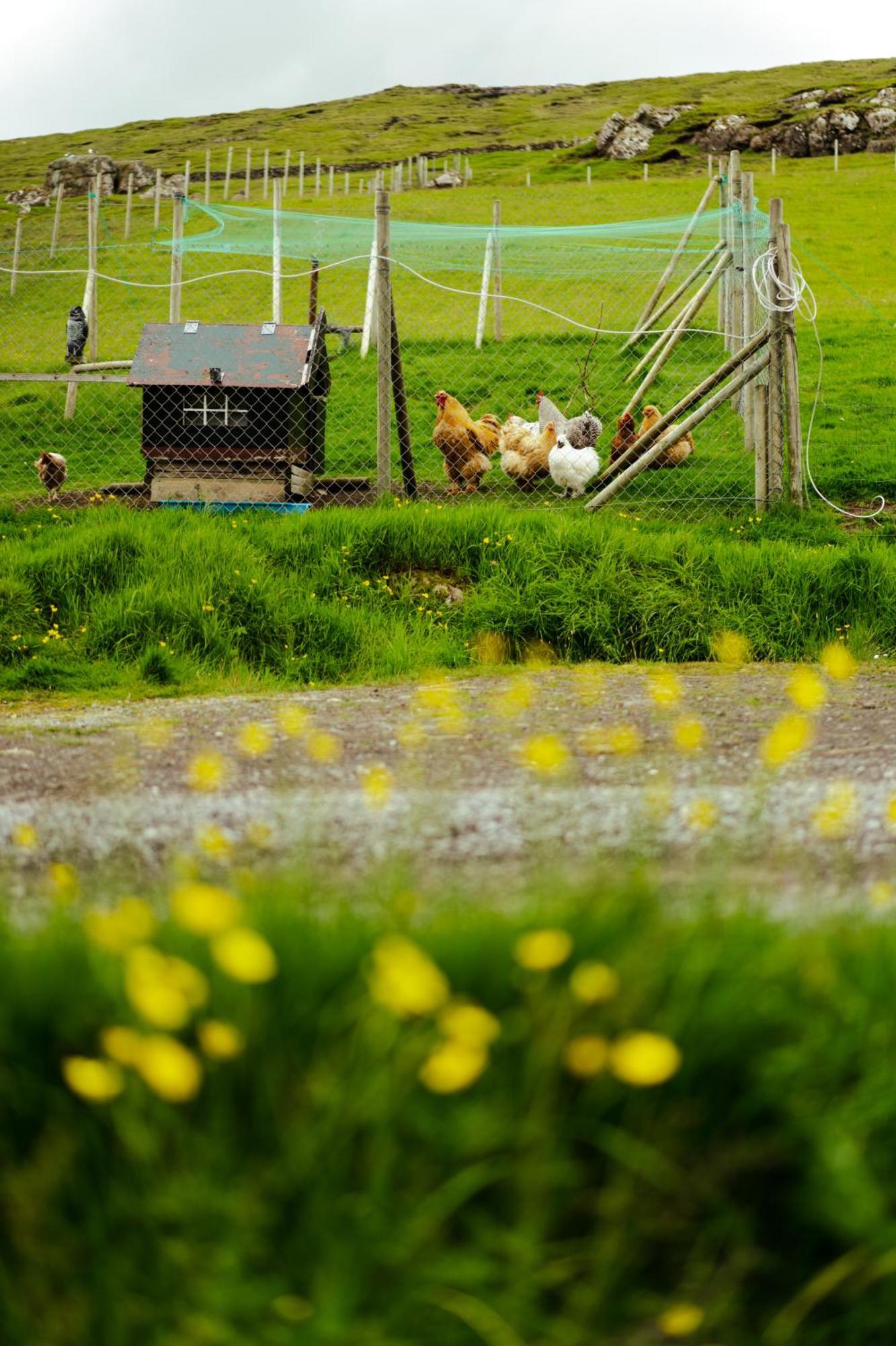 A Snaetu - Serene Village Stay Surrounded By Nature Sandavágur Екстериор снимка